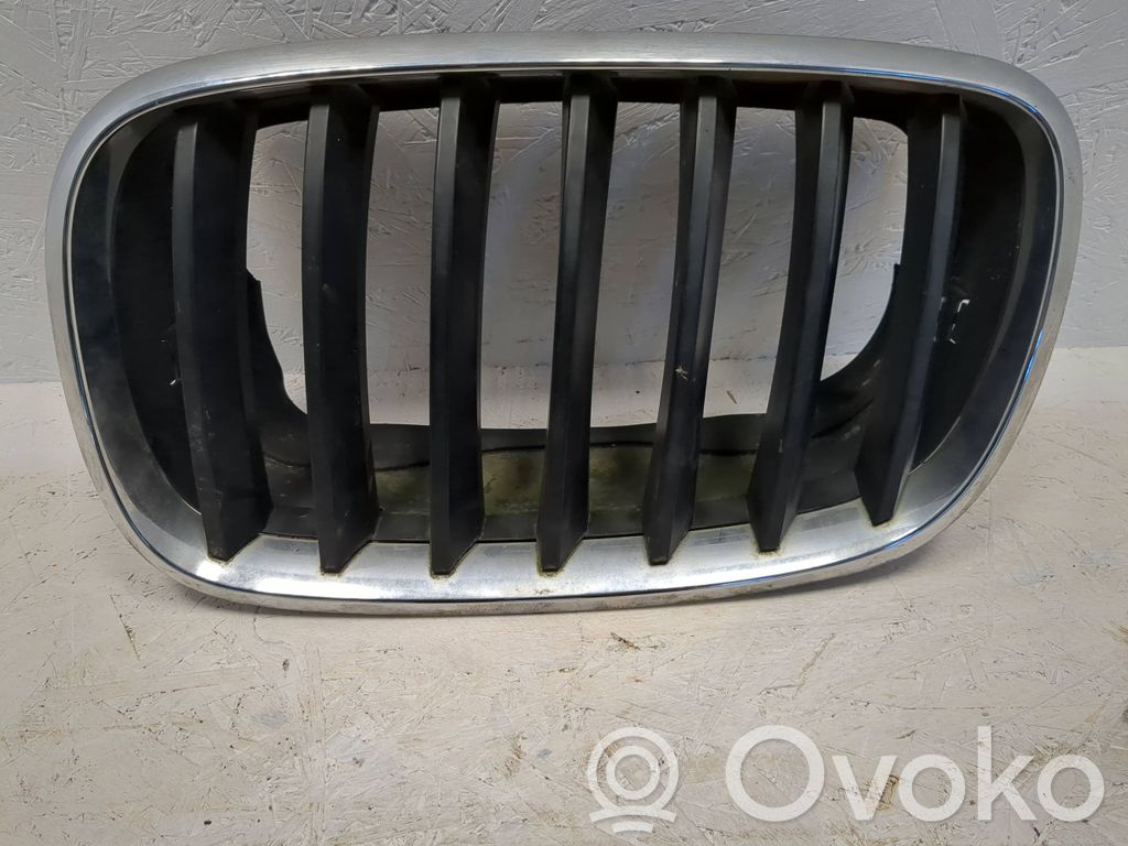 BMW X5 E70 Front grill 
