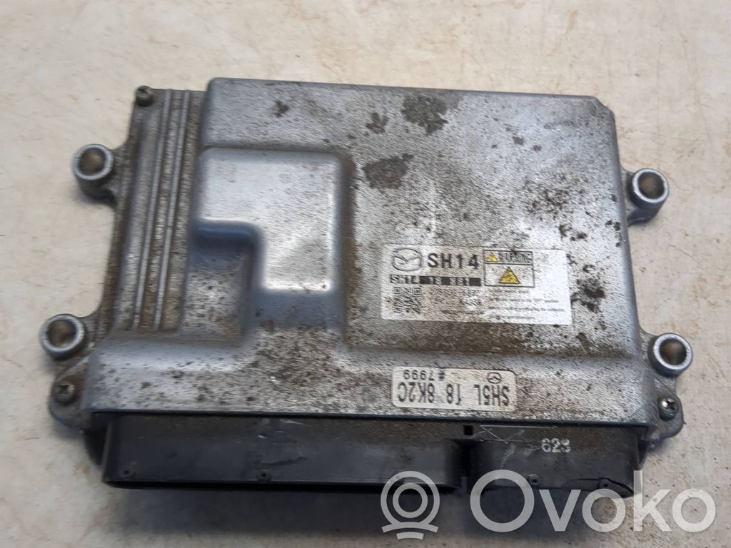 Engine control unit/module   SH1418881,2757006332