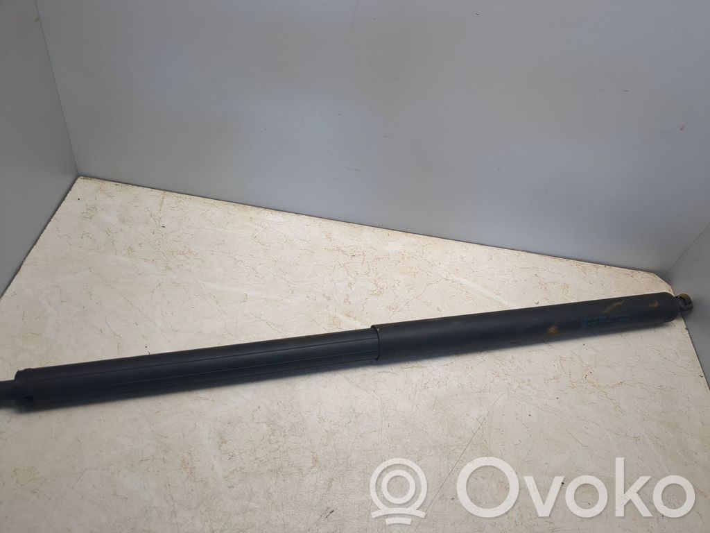Tailgate/trunk strut/damper   EM2BR402A74BD