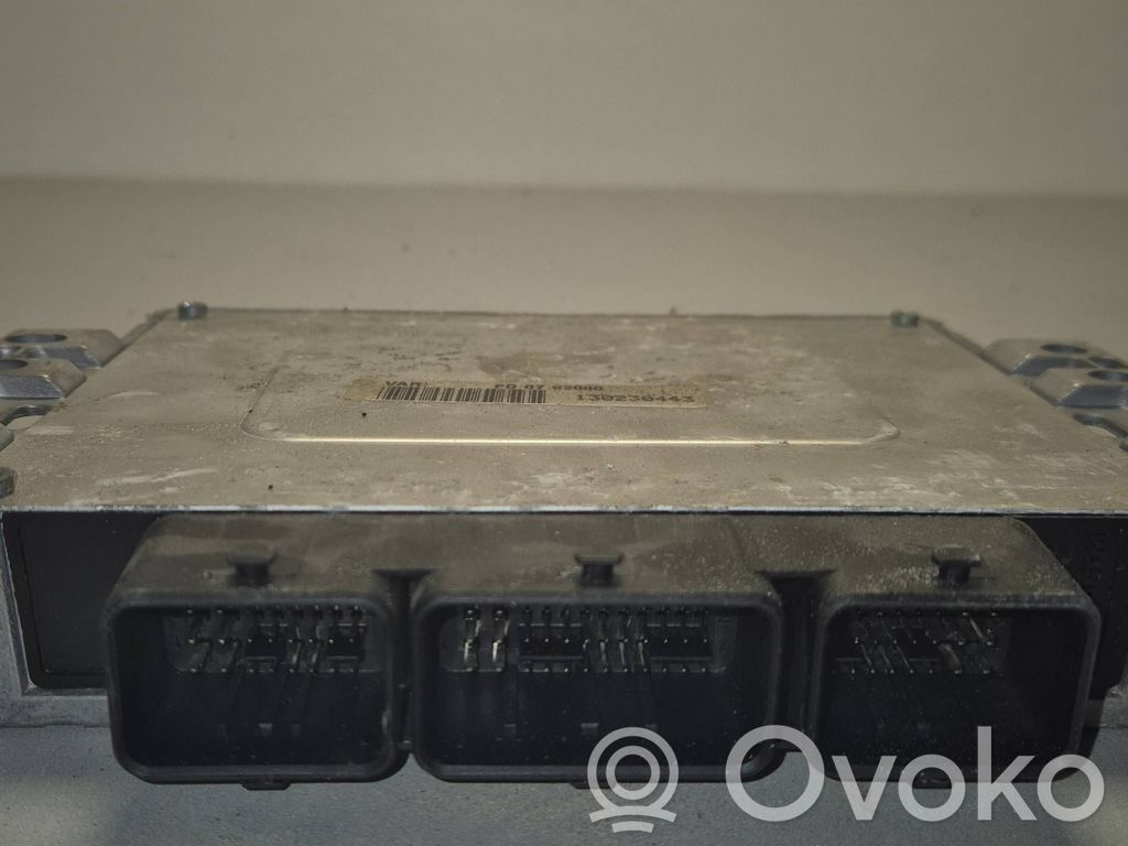 Peugeot 206 Engine control unit/module 