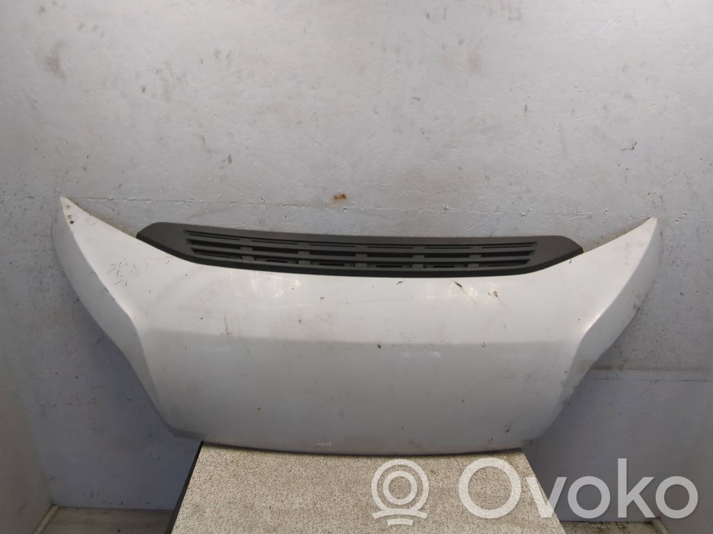 Fiat Ducato Motorhaube 