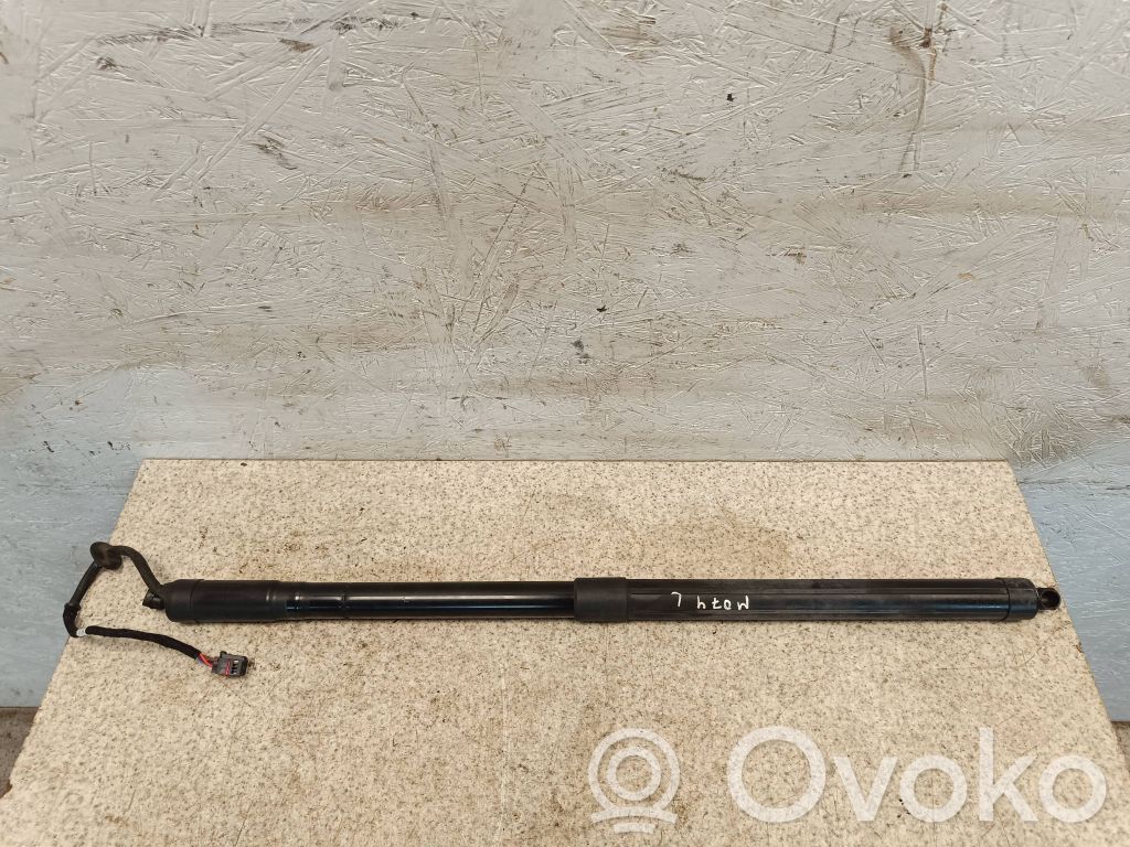 Tailgate/trunk strut/damper   E521A,090749,R404C85AG,06102015