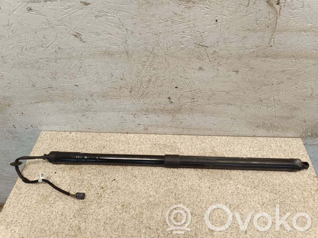 Tailgate/trunk strut/damper   E521A,11102015