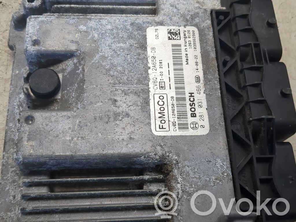 Ford Focus Engine control unit/module 