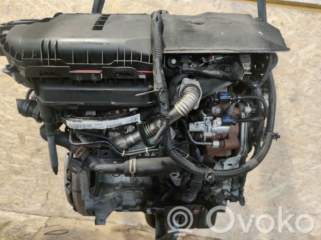 Engine   DV6C