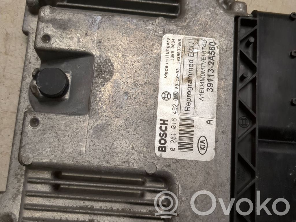 Engine control unit/module   0281016492,391132A560,1039S37866