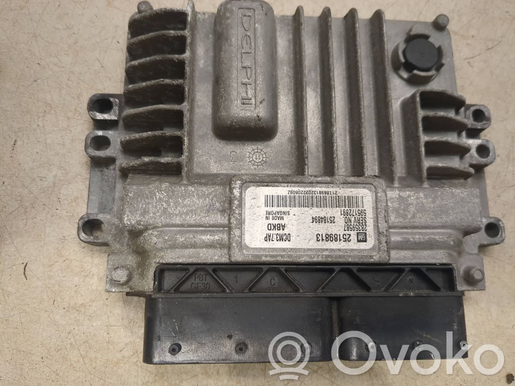 Opel Antara Engine control unit/module 
