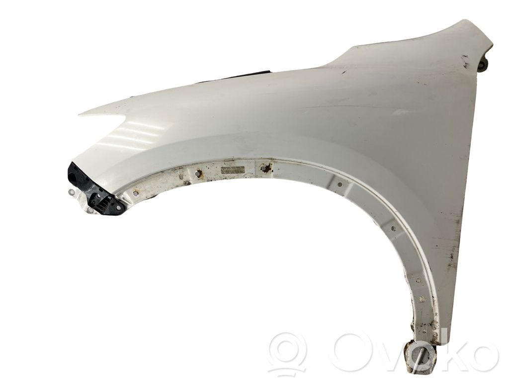 Fender