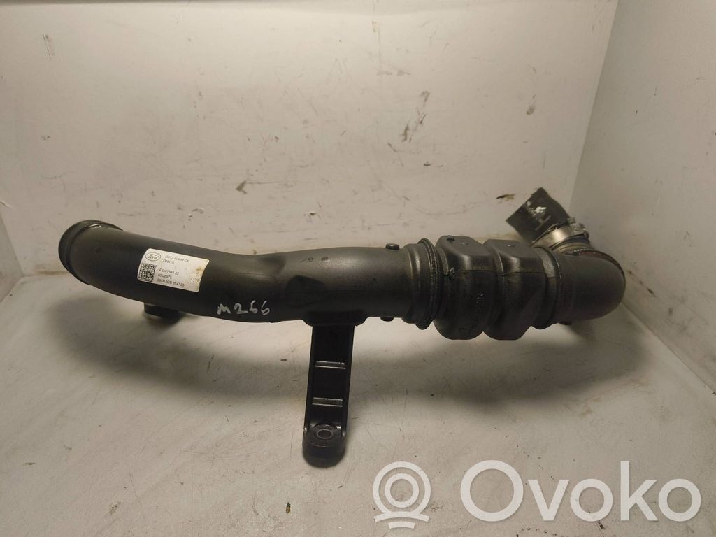 Wąż / Rura intercoolera   DS736C646DK,F1014768405,05126975