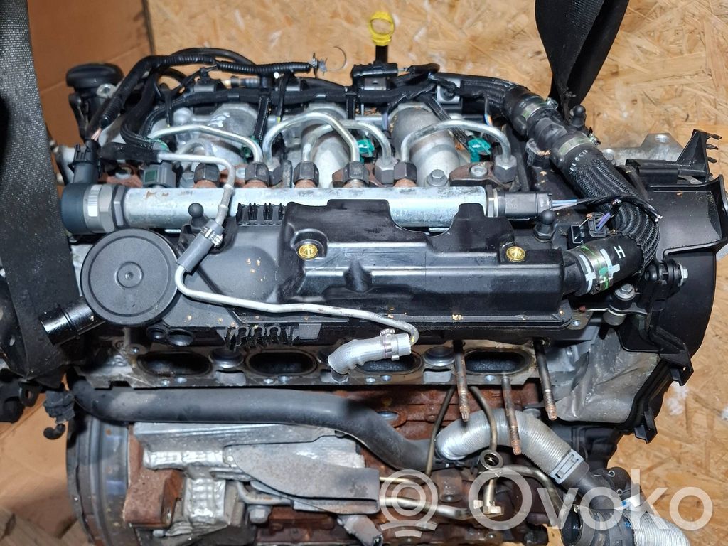 Motor   224DT