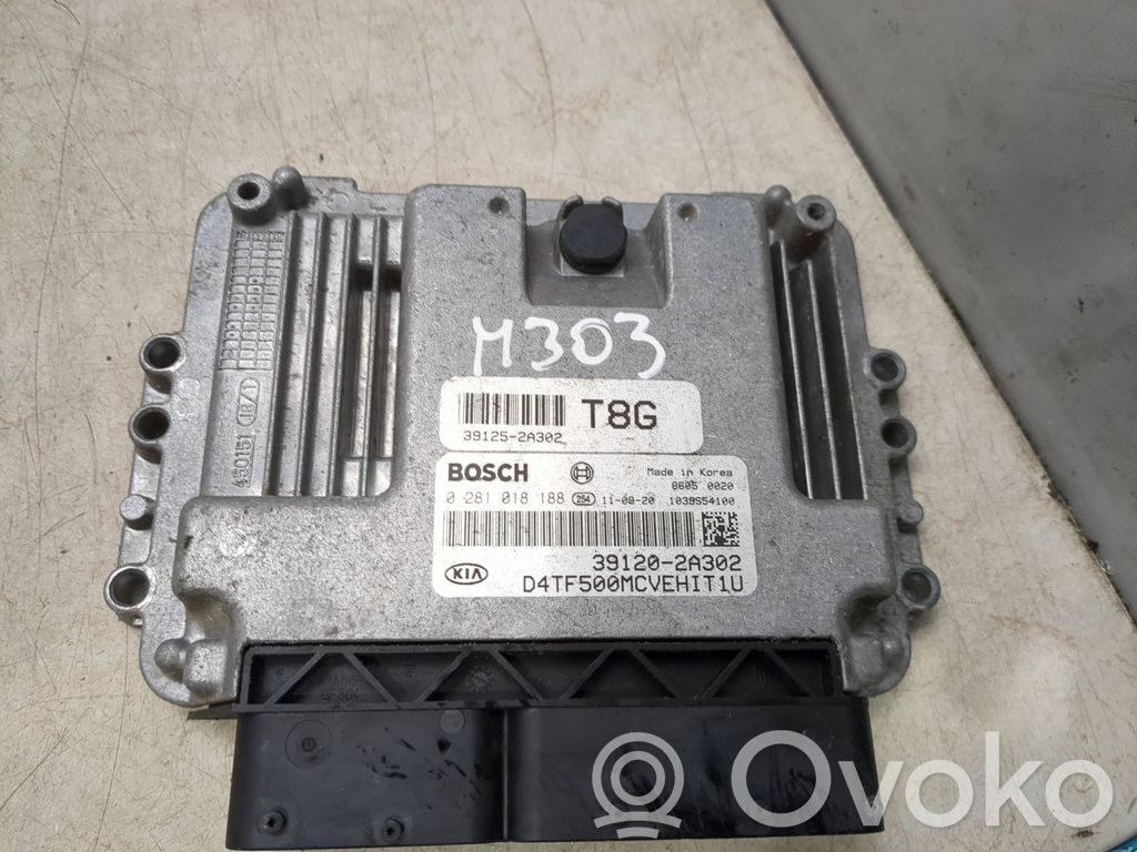 KIA Optima Engine control unit/module 