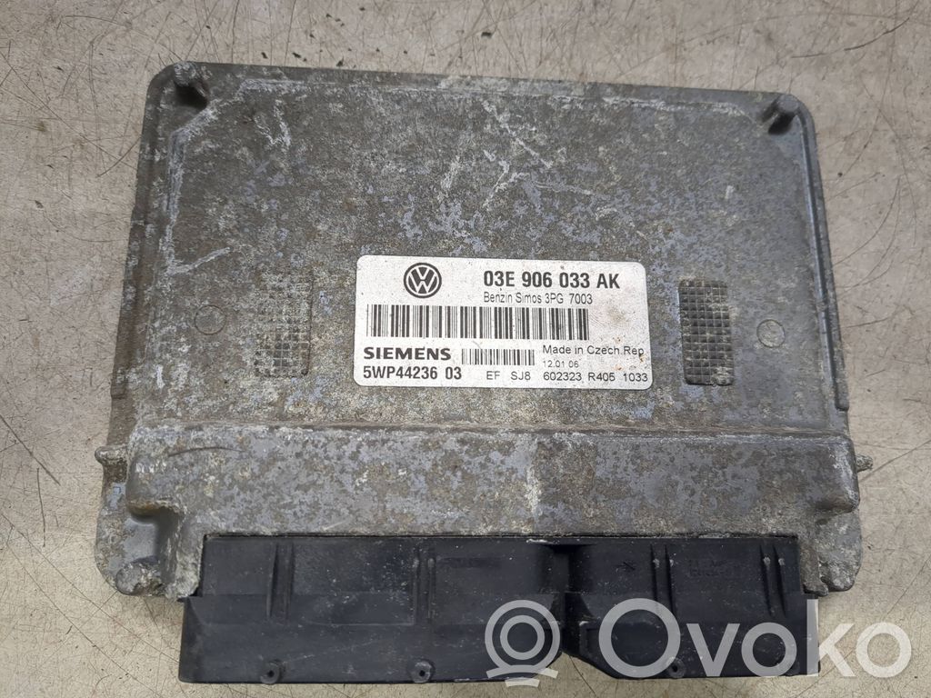Volkswagen Polo IV 9N3 Engine control unit/module 