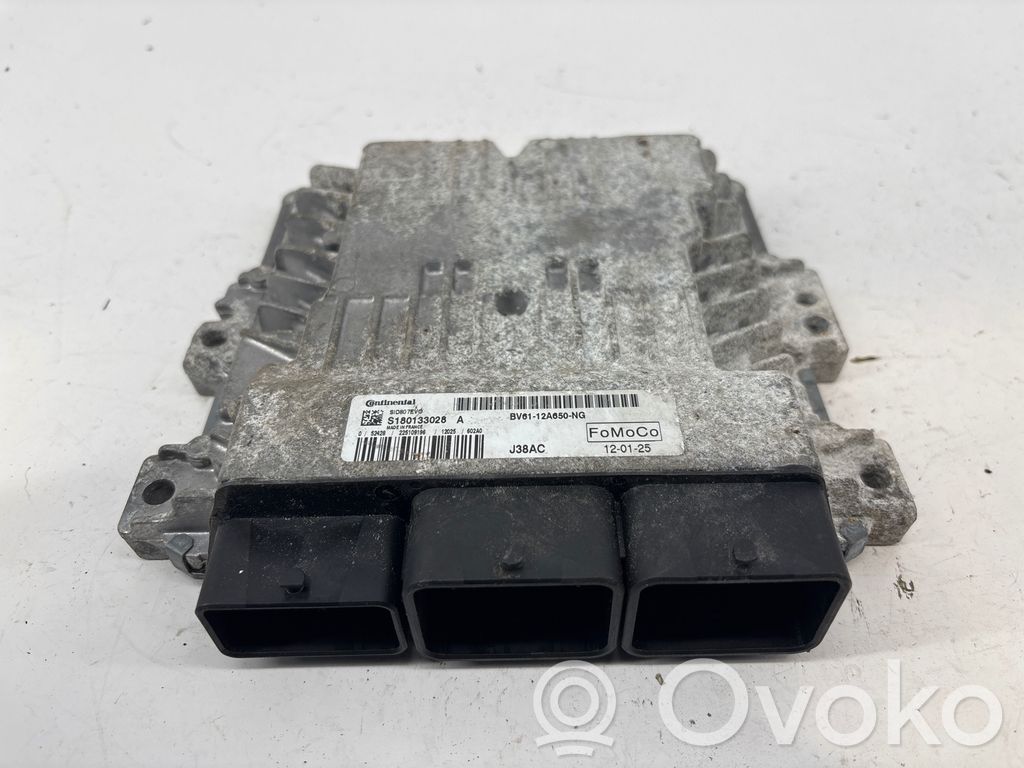 Ford Focus Engine control unit/module 