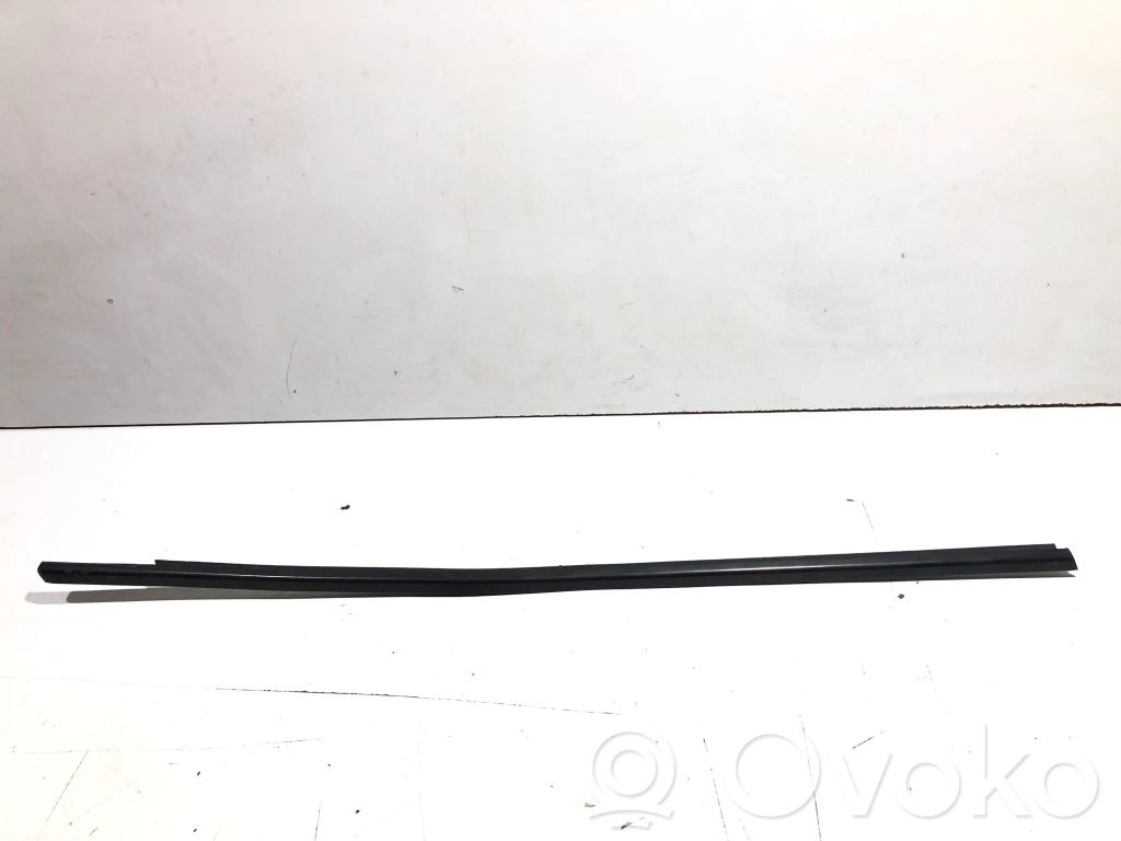 Peugeot 407 Ornament geam ușă față 