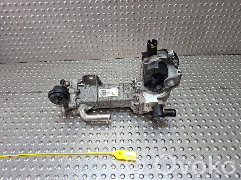 KIA Sportage Refrigerador de la válvula EGR 