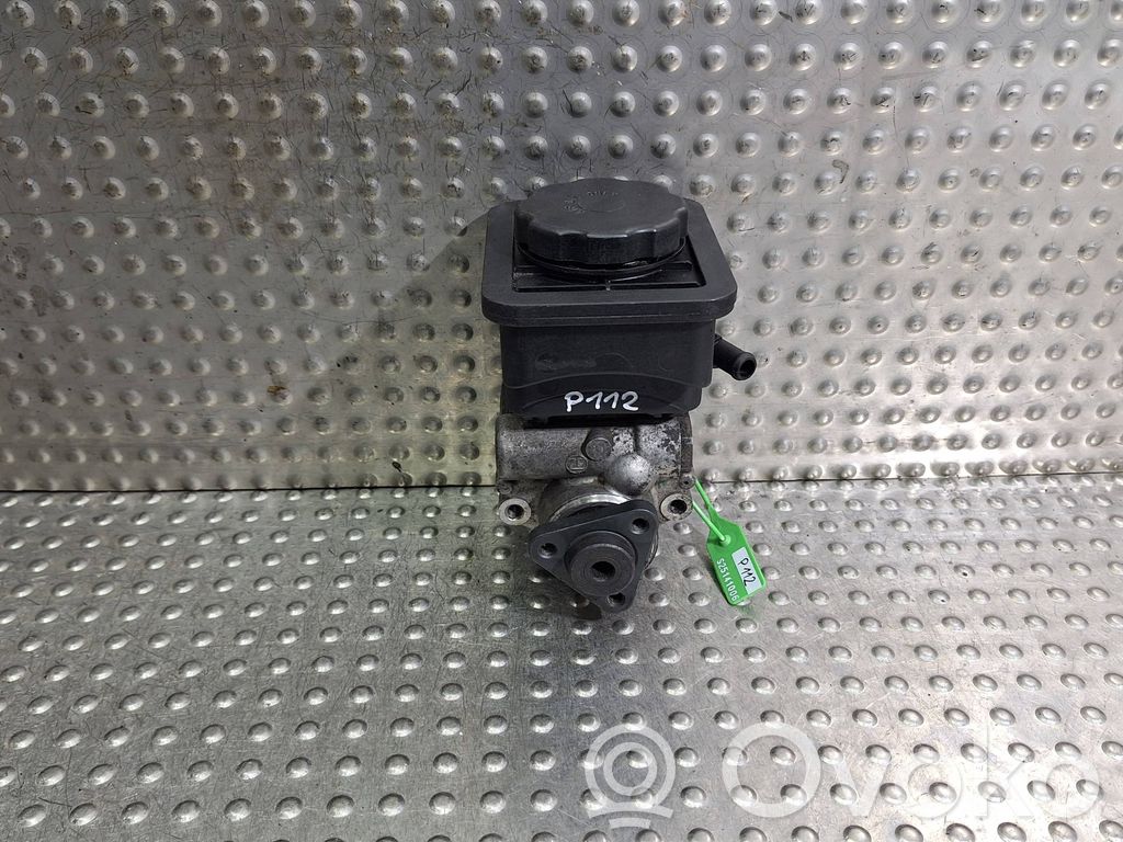 Power steering pump   1095155,7691900513