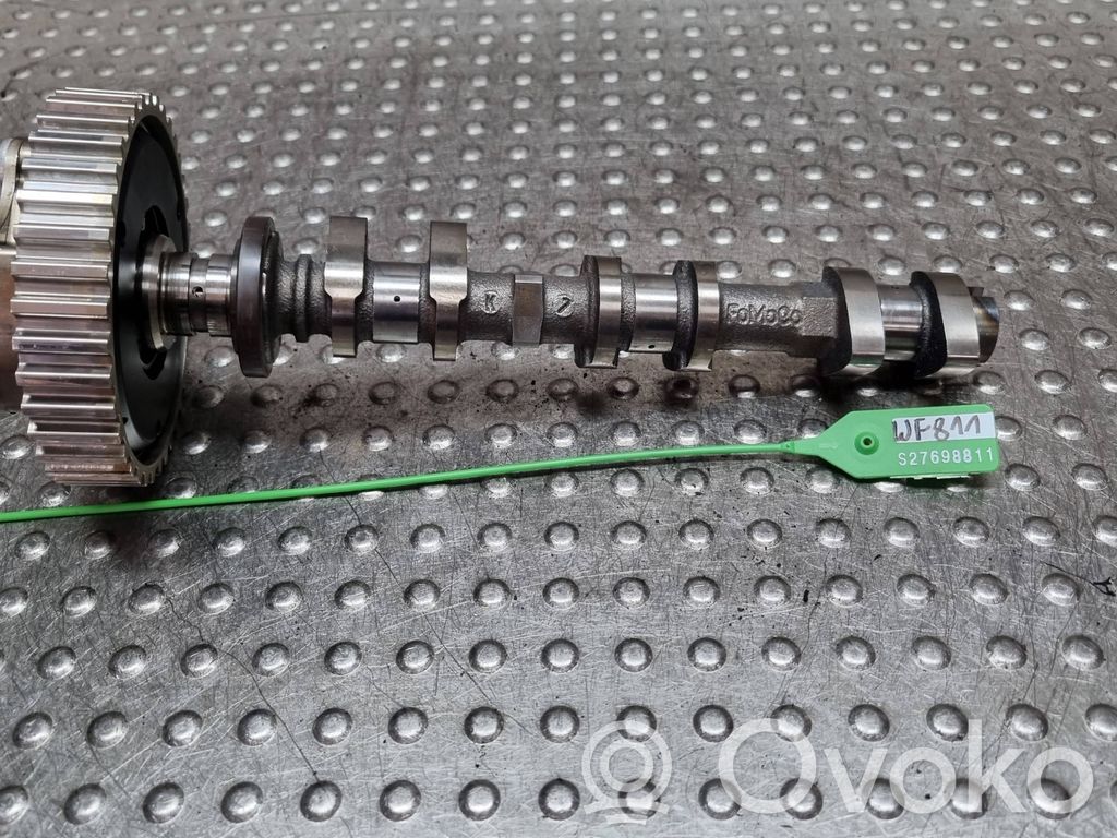 Ford Focus Sadales vārpstas skriemelis / "Vanos" 