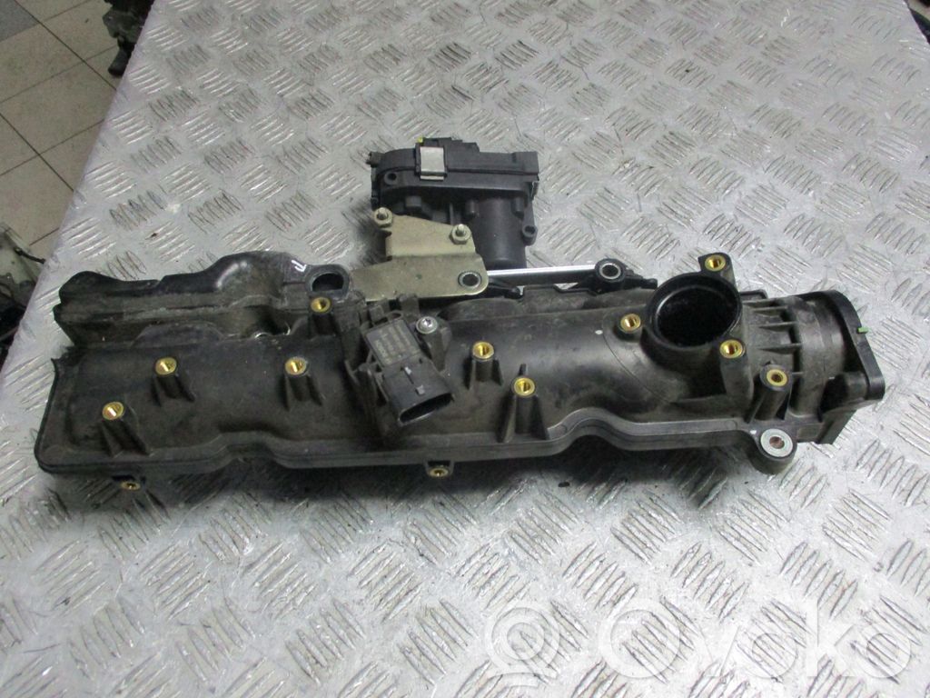 Intake manifold   50841