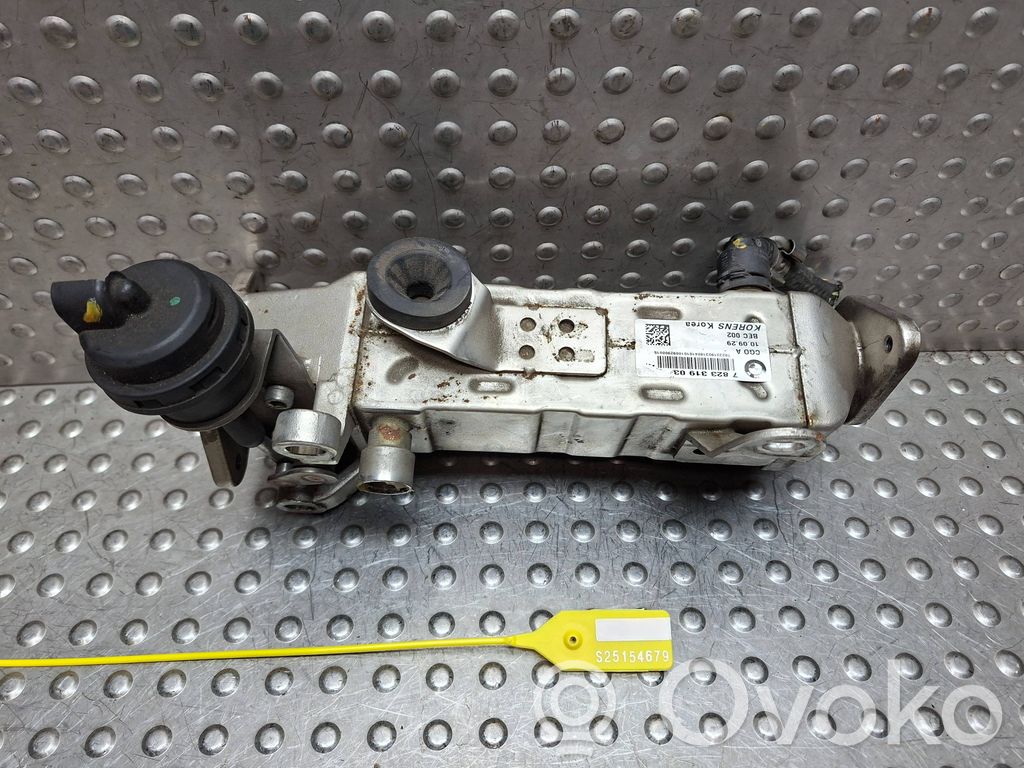 Chłodnica spalin EGR   S25154679,782331903