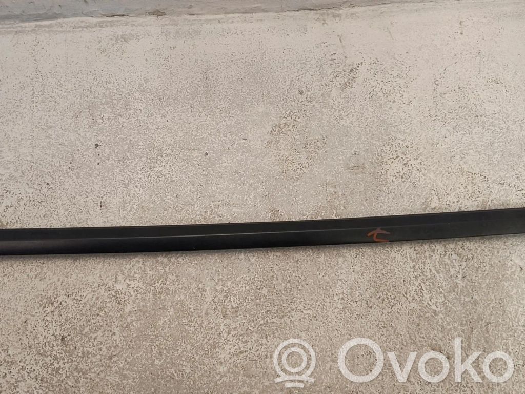 Tesla Model 3 Etuoven lista (muoto) 