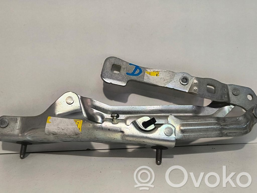 Tesla Model 3 Tailgate hinge 