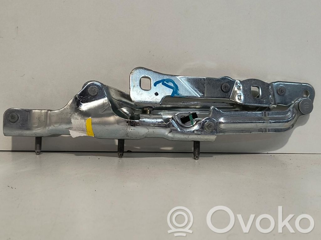 Tesla Model 3 Tailgate hinge 