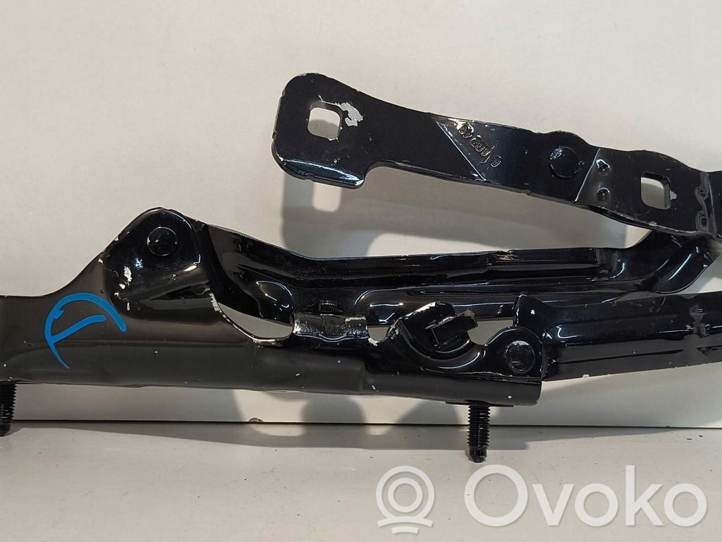 Tesla Model 3 Tailgate hinge 