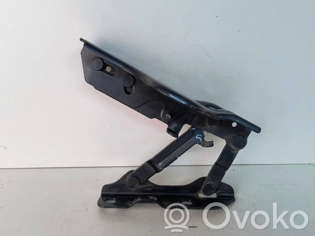 Engine bonnet/hood hinges   800673700E