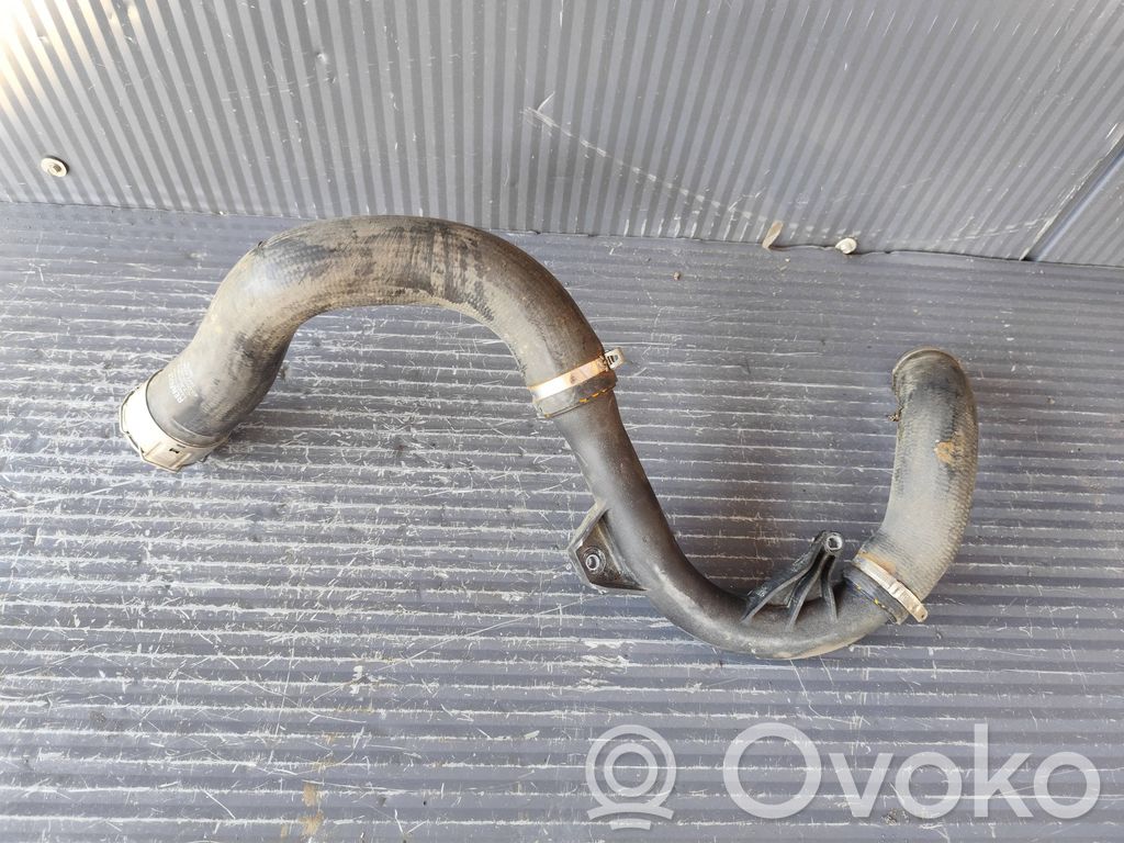Renault Clio V Interkūlera šļūtene (-es) / caurule (-es) 