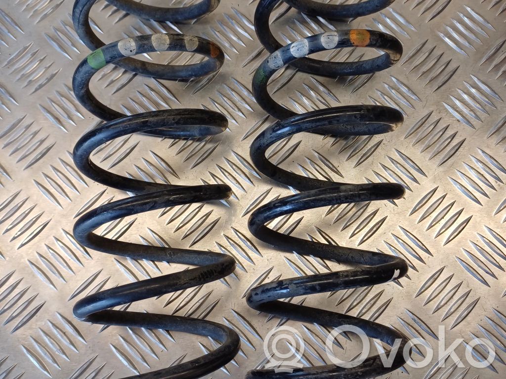Rear coil spring