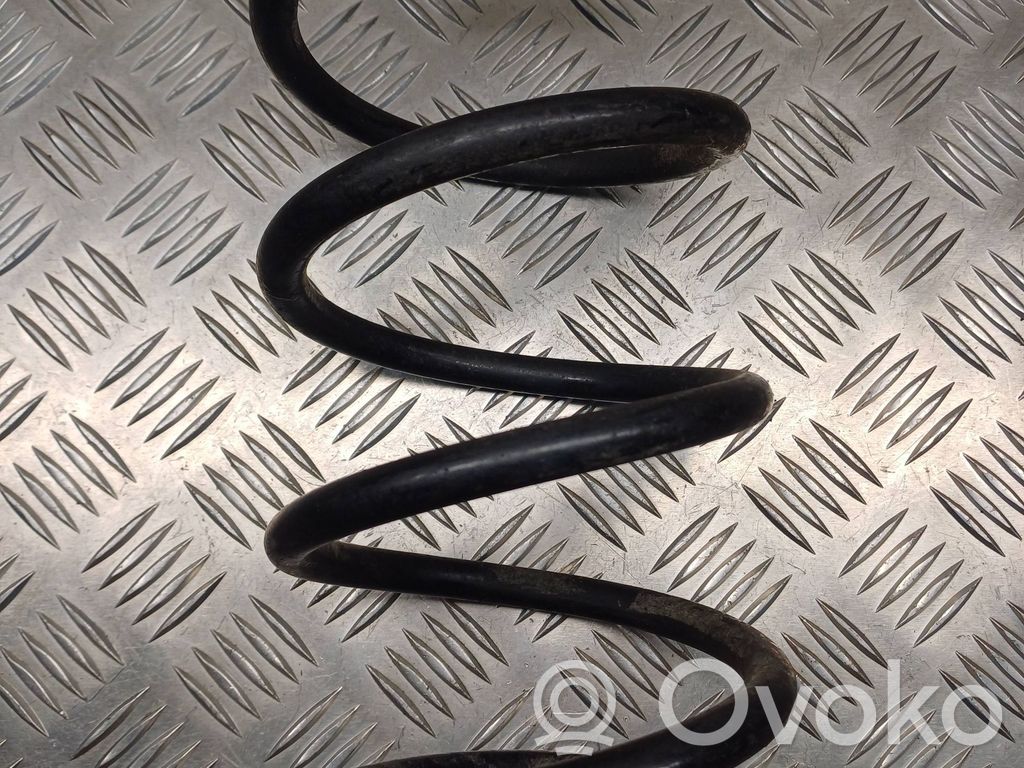 Rear coil spring