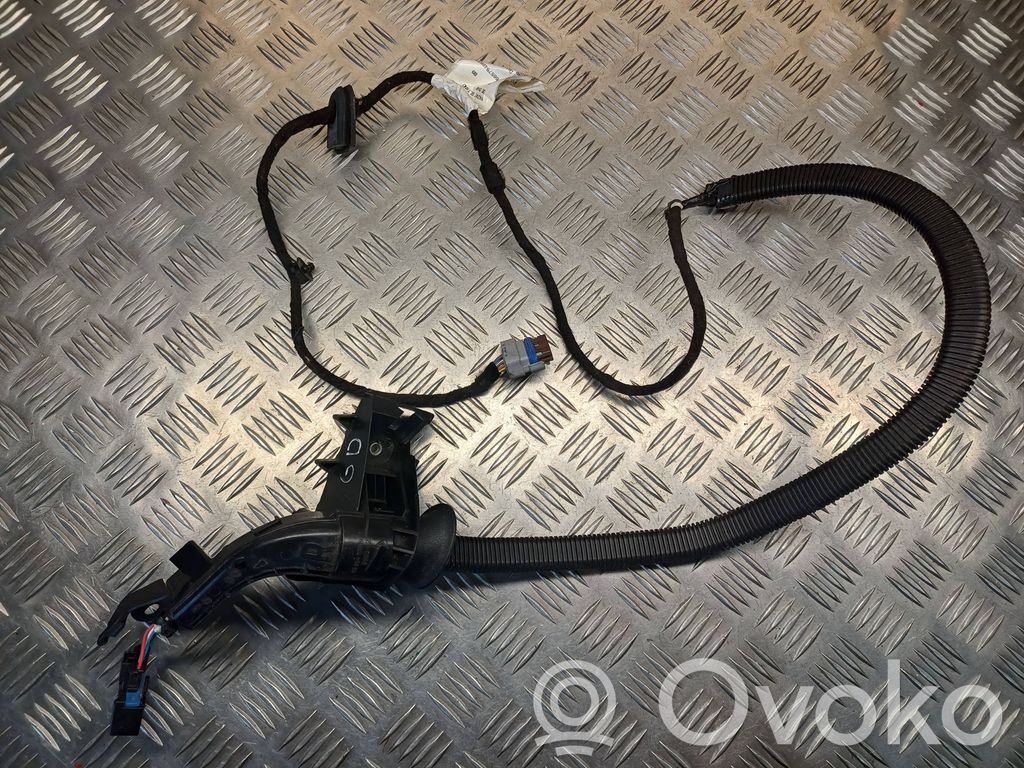 Cableado de puerta trasera   9665794880,966579488H,9665455980A