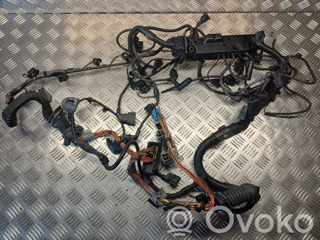 Engine installation wiring loom   7796489,7796845