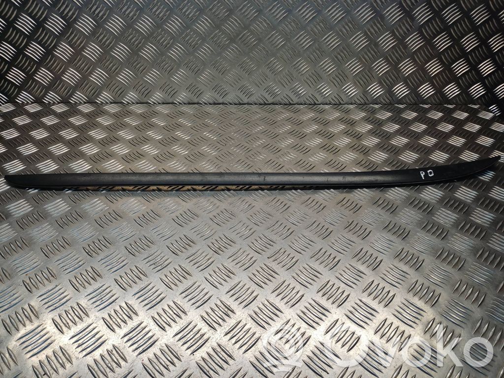 Ford Focus Windshield trim 