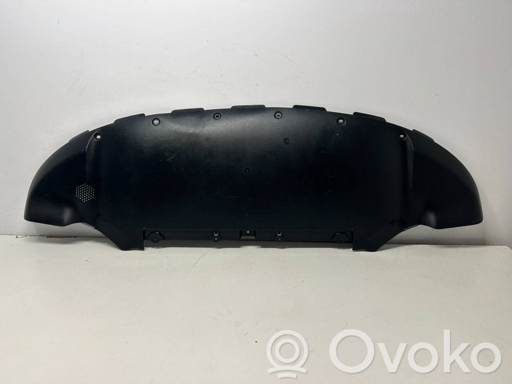 Tesla Model Y Variklio dugno apsauga 