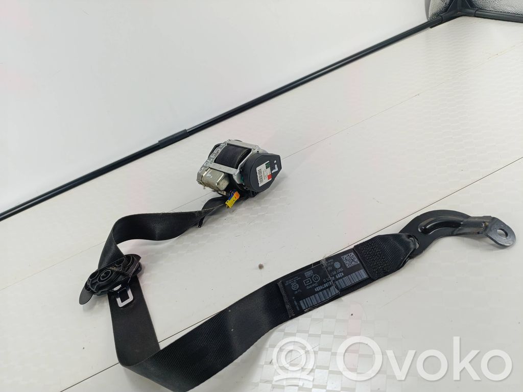 Volkswagen Golf Plus Cinturón delantero 