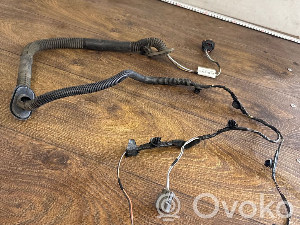 Cableado de puerta trasera   240514114R