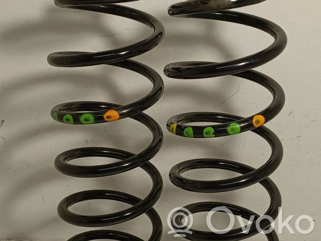 Rear coil spring