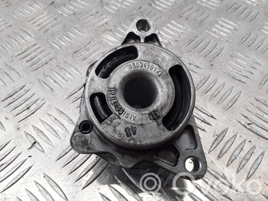 Renault Laguna II Generatoriaus diržo įtempėjas 
