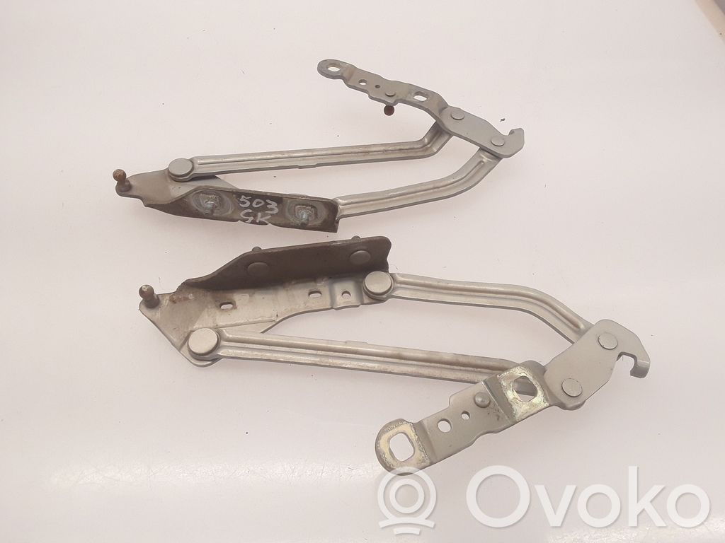 Tailgate/trunk/boot hinge   2703,011067,011068