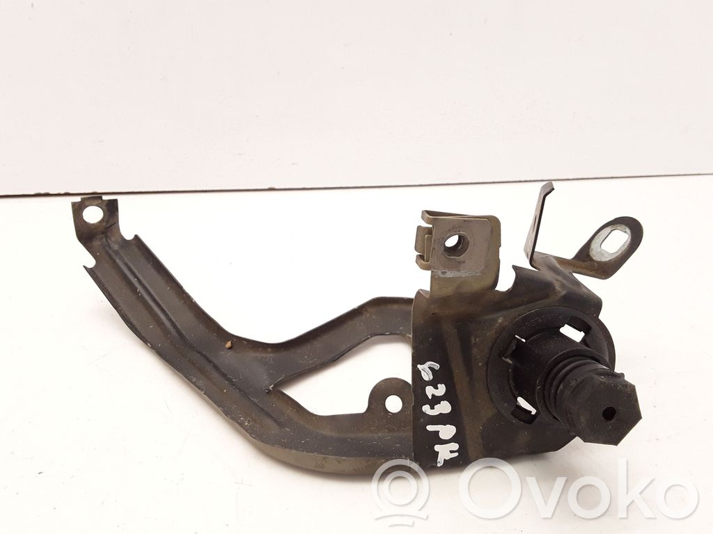BMW 5 F10 F11 Vyris (-iai) variklio dangčio 