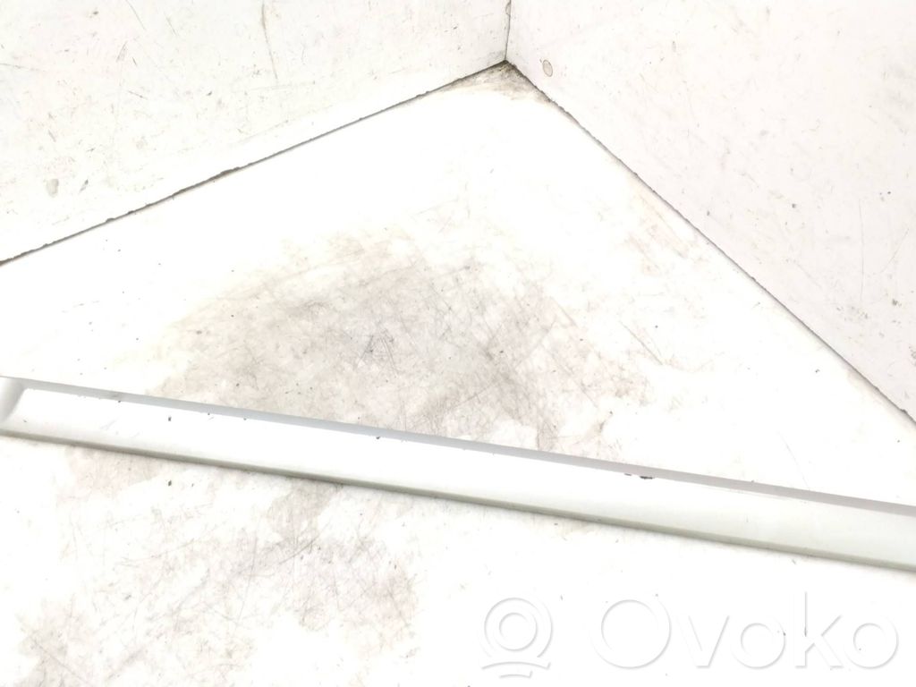 Renault Laguna III Rivestimento portiera posteriore (modanatura)