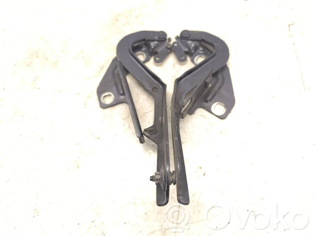 Citroen C4 Grand Picasso Balamale capotă 