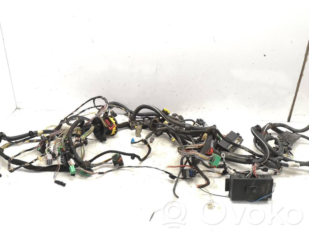 Peugeot 307 Cablaj motor