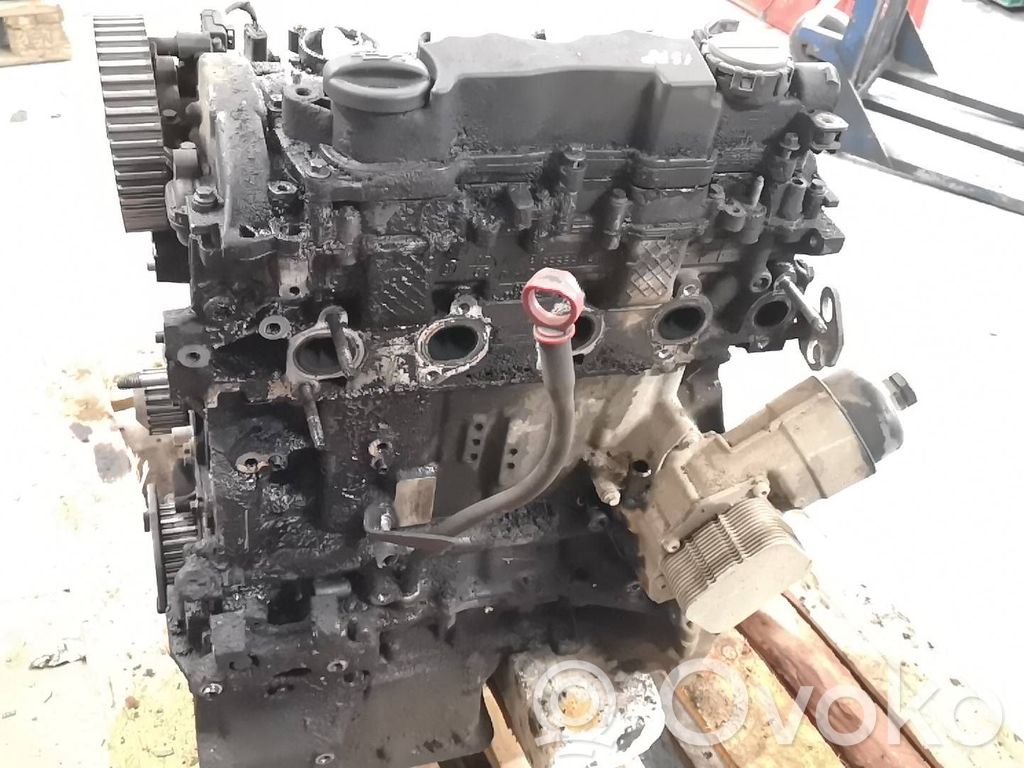 Citroen Jumpy Motor 