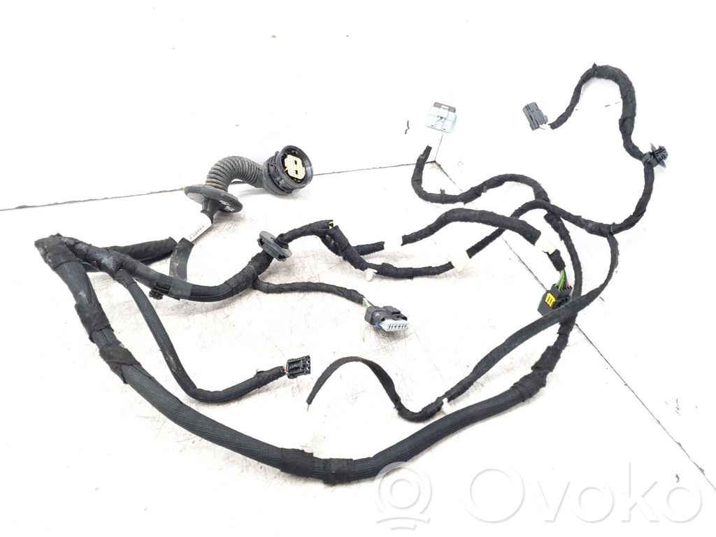 Citroen C5 Cableado de puerta delantera 
