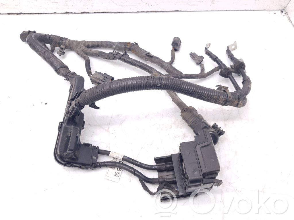 KIA Ceed Pluskaapeli (akku) 