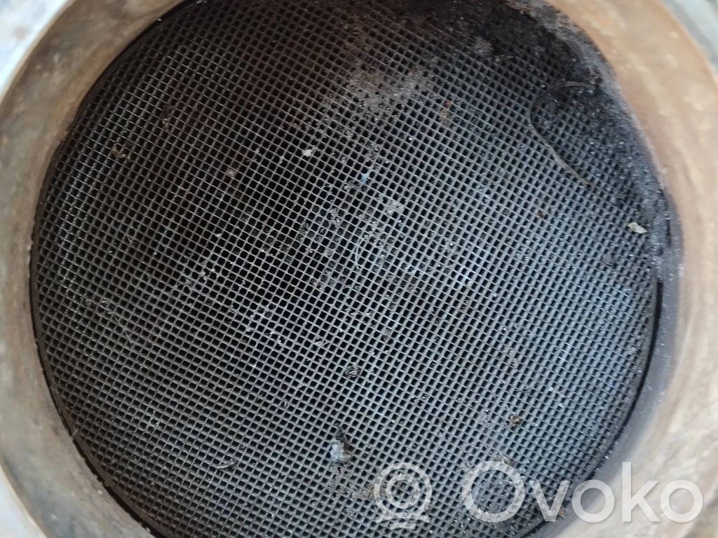 Volkswagen Tiguan Katalysaattori/FAP/DPF-hiukkassuodatin 