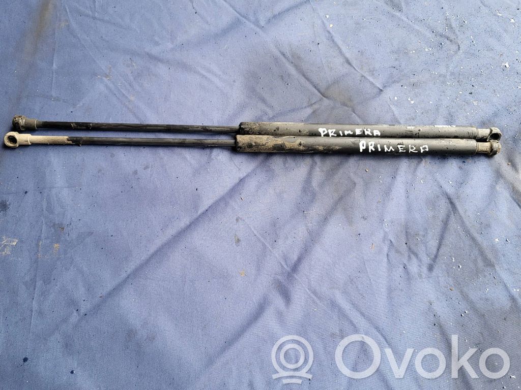 Nissan Primera Tailgate/trunk strut/damper 