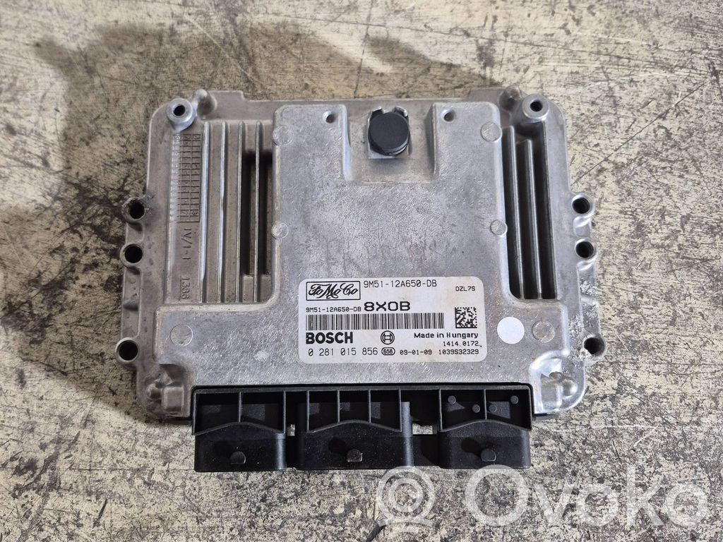 Ford Focus Engine control unit/module 